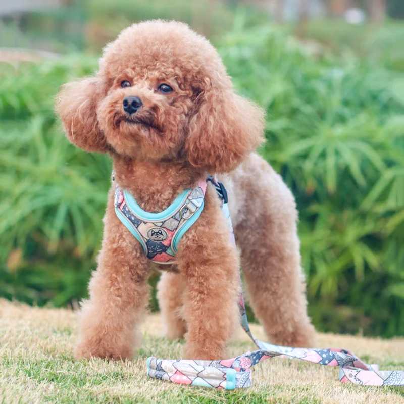 Luxury Pet Vest Harnesses for Small Medium Dogs Adjustable Mesh Puppy Dog Harness and Leash Set Shiba Inu Leads mascotas Chain M251213