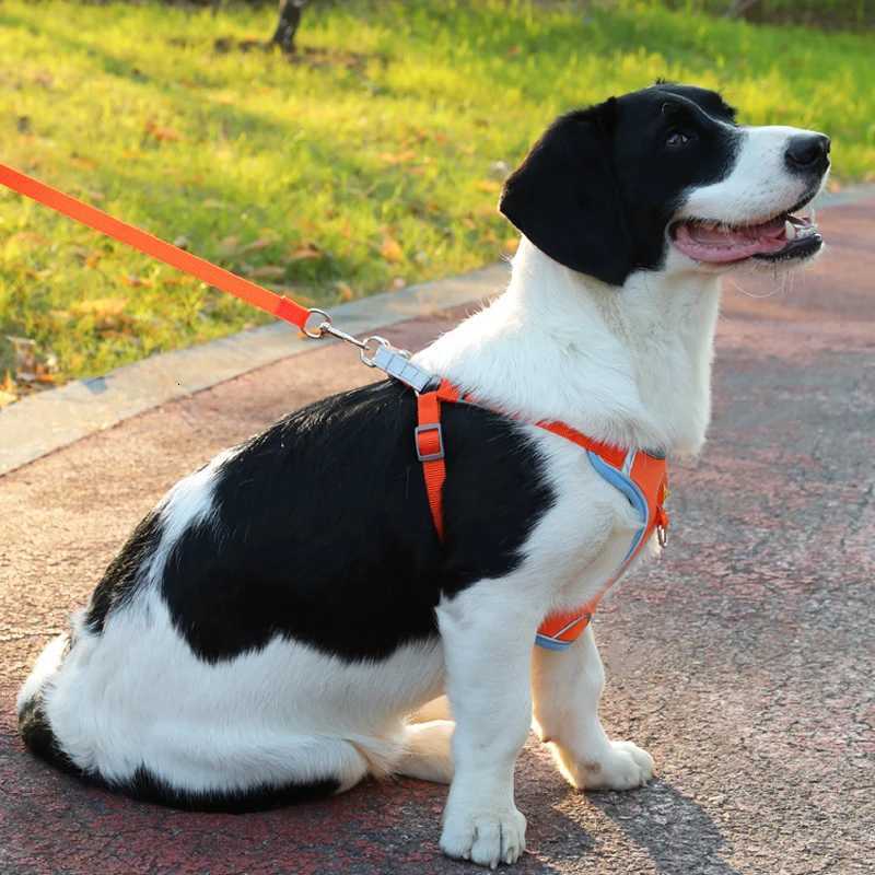 Pet Harness Vest Walking Lead For Puppy Dogs Collar Adjustable Reflective Breathable Harness for Dogs Puppy and Cats M251213