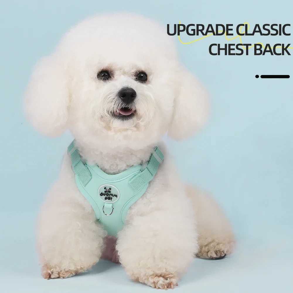 Colorful Lightweight Dog Harness for Small Breeds -Dopamine Style Breathable No-Pull Pet Vest with Leash Comfortable Outdoor Use M251213