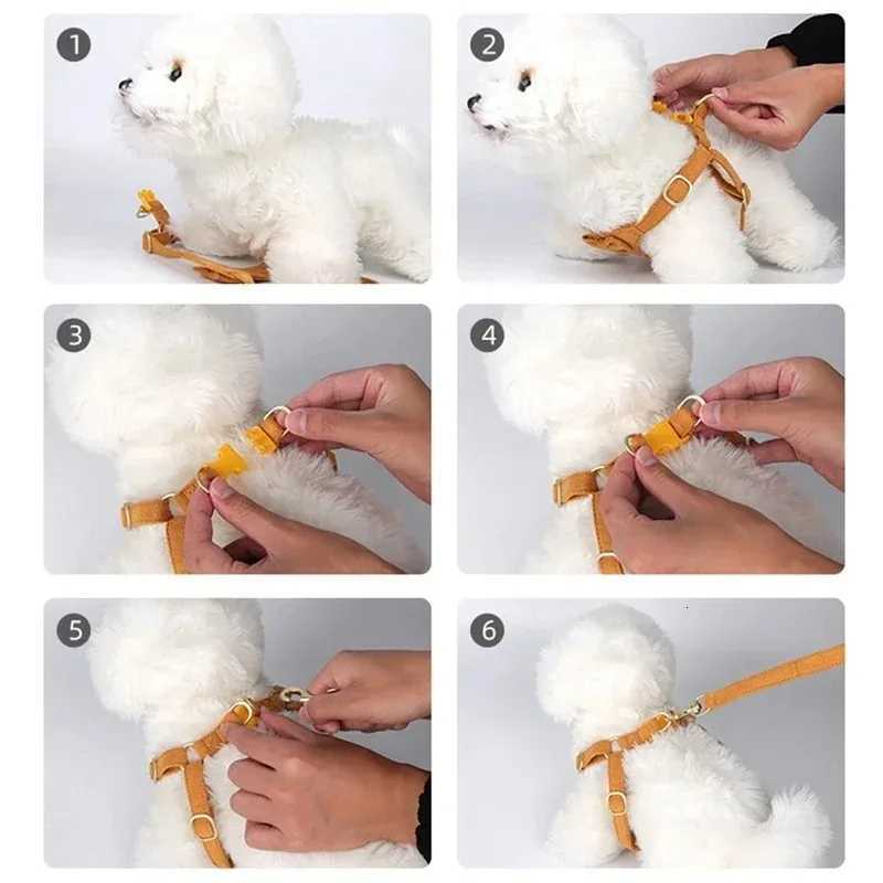 Puppy Accessories Harness for Big Dog Pet Shop Everything Dogs Training Collar Harnesses and Wears Necklaces M251213