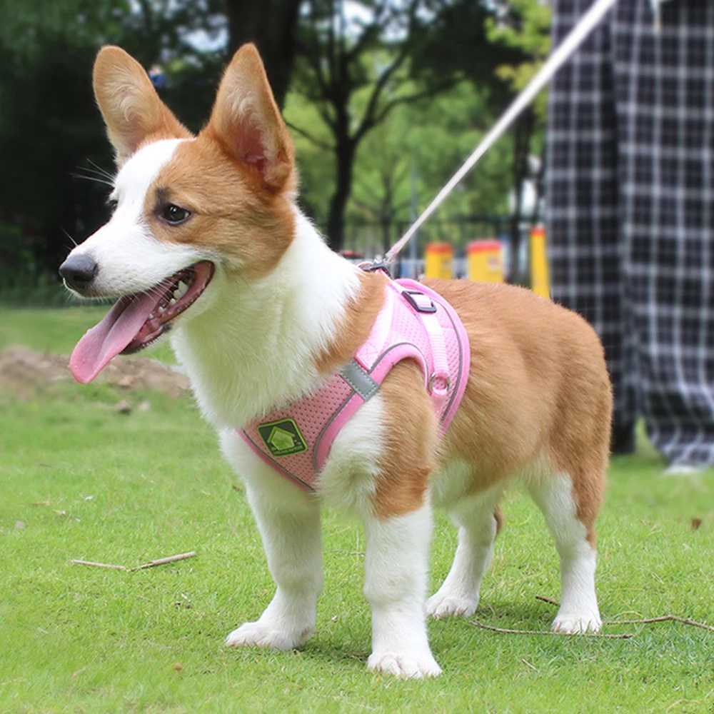 Cat Harness Vest Puppy Dog Walking Collar corgi Adjustable Mesh Dog Harness Suitable for Small and Medium Pets Accessories M251213
