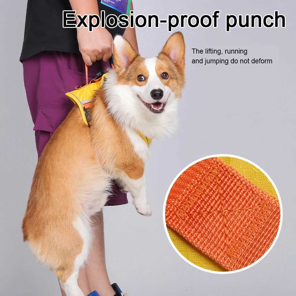 Reflective Dog Harness with Airtag Holder Escape Proof Anti Lost Pet Vest Highly Visible Adjustable Safety GPS tracking M251213