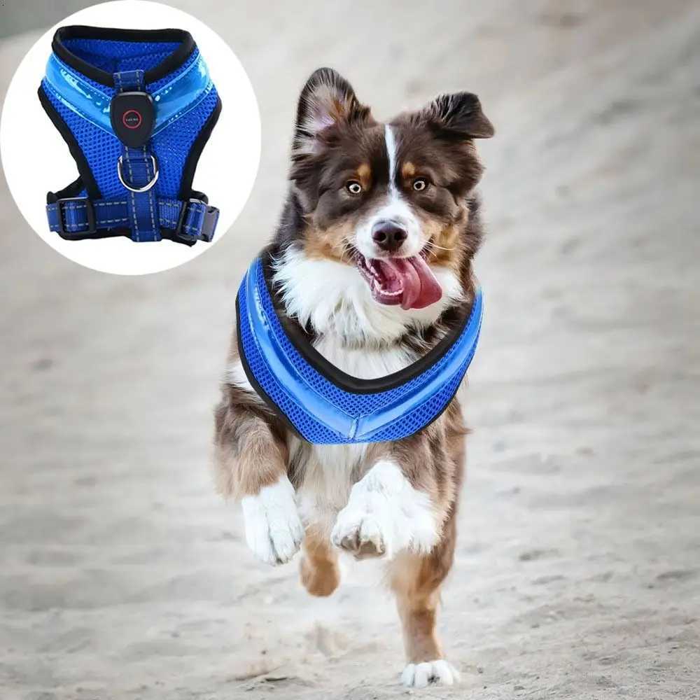 Practical Luminous Pet LED Harness Breathable Rechargeable Dog Traction Harness Waterproof Dog Vest Night M251213