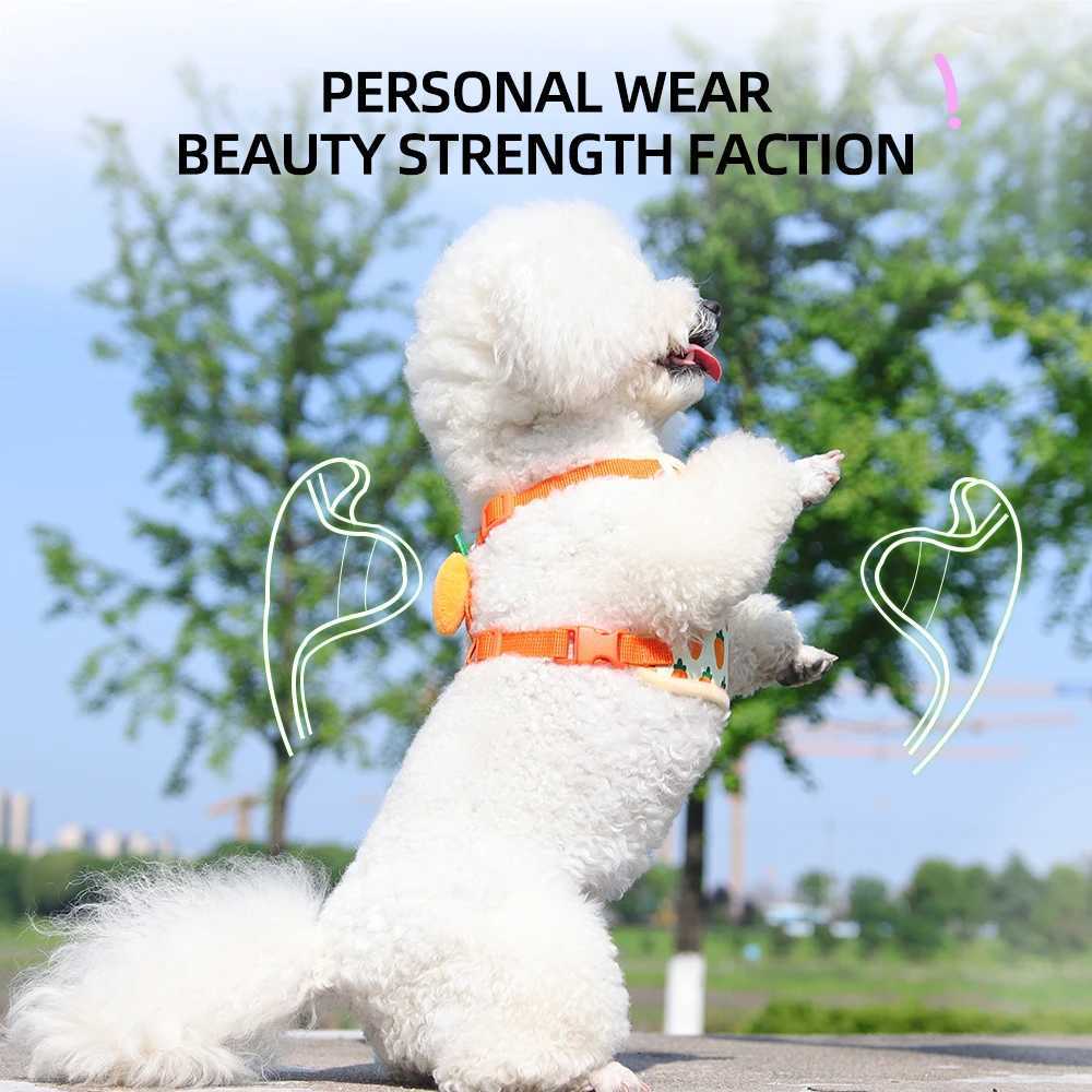 Comfortable Vest Style Dog Harness for Small Breeds - No-Pull Breathable Pet Harness with Leash Adjustable for Bichon Dogs M251213
