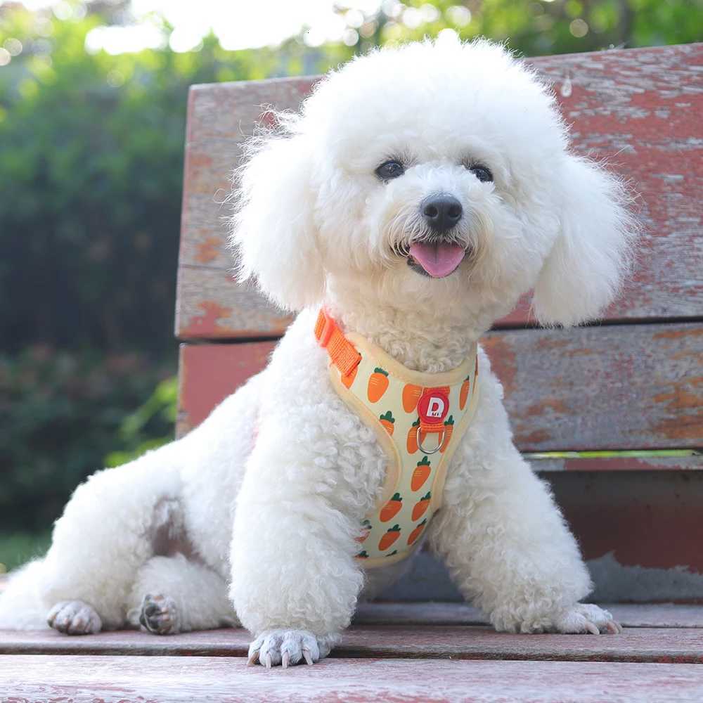 Comfortable Vest Style Dog Harness for Small Breeds - No-Pull Breathable Pet Harness with Leash Adjustable for Bichon Dogs M251213