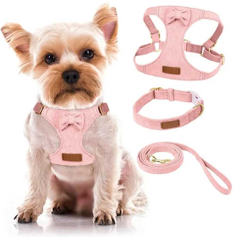 Puppy Accessories Harness for Big Dog Pet Shop Everything Dogs Training Collar Harnesses and Wears Necklaces M251213