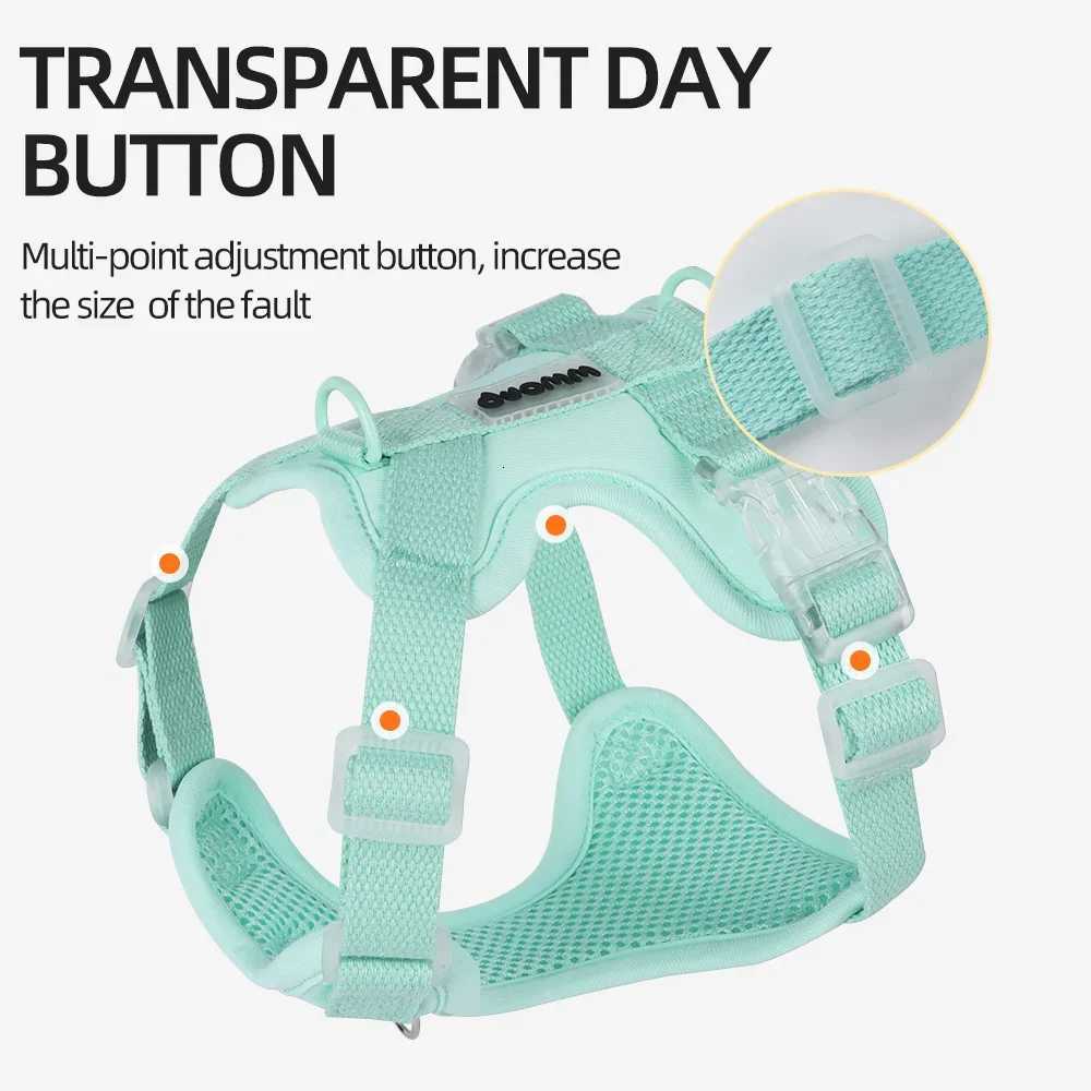 Colorful Lightweight Dog Harness for Small Breeds -Dopamine Style Breathable No-Pull Pet Vest with Leash Comfortable Outdoor Use M251213