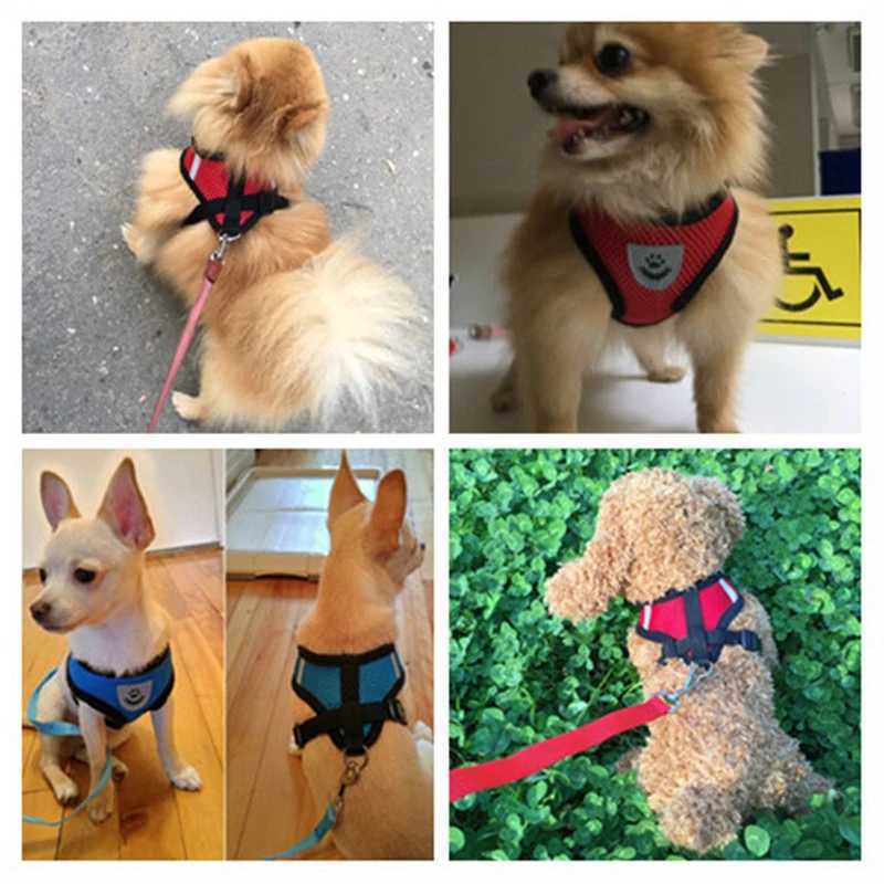 Nylon Breathable Mesh Dog Harness and Leash Set Dog Cat Vest Harness for Small Dogs Kitten Cat Accessories Pet Supplies M251213