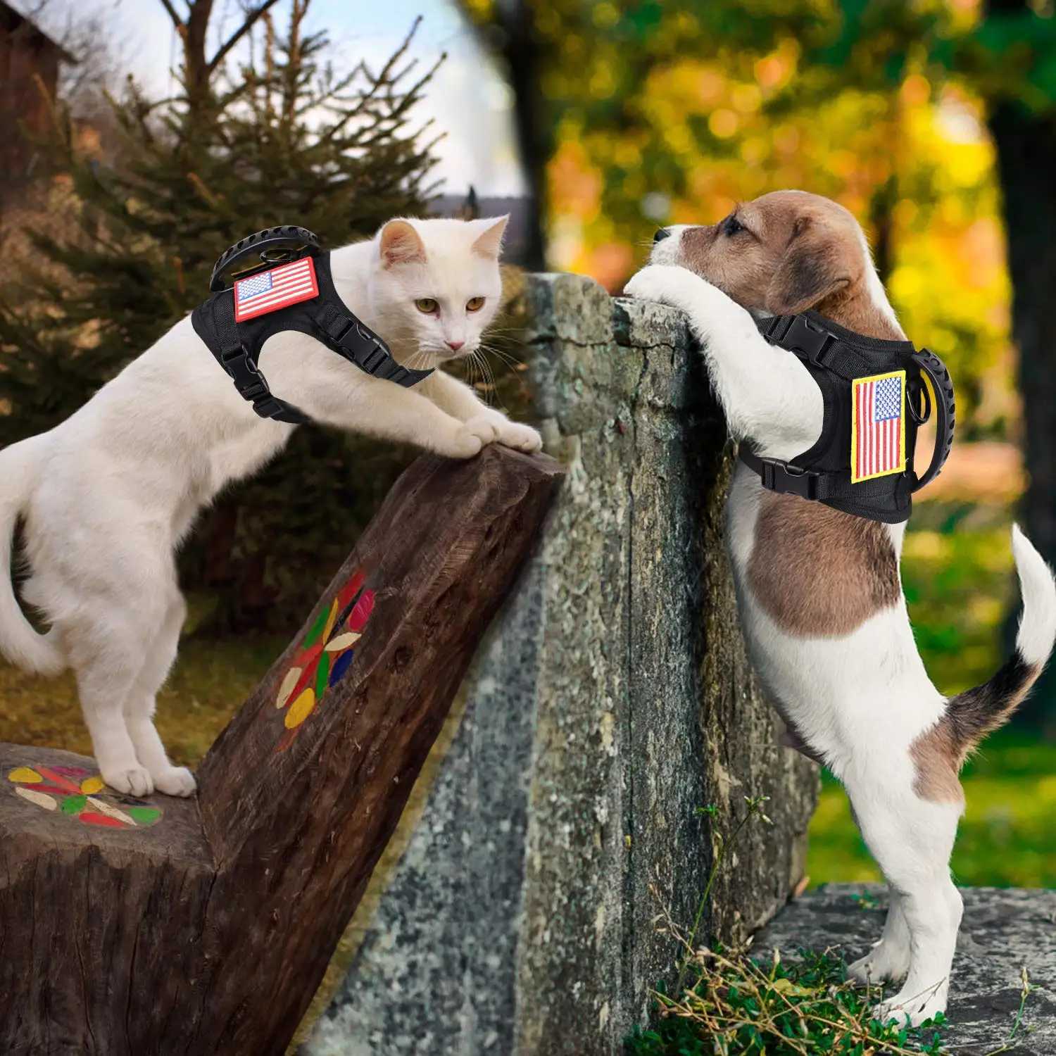 Tactical Puppy Harness Leash Set For Small Dogs Adjustable Cat Harnesses Vest For Training Walking Military Cats Dog Accessories M251213