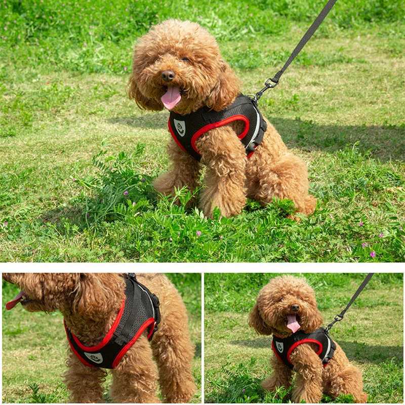 Puppy Harness and Leash Set Breathable Summer Mesh Dog Harness Vest Reflective Pet Cat Chest Straps Chihuahua Yorkies Harness M251213