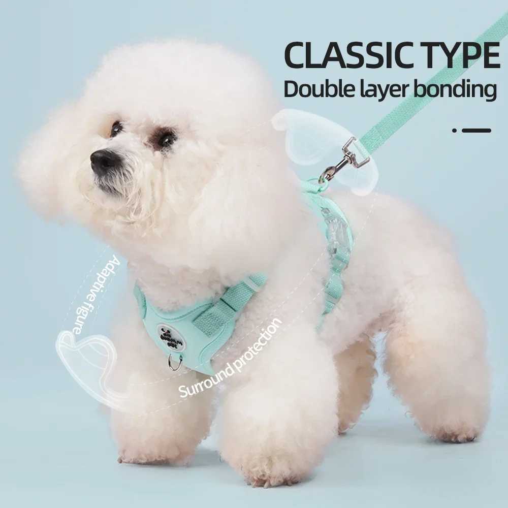 Colorful Lightweight Dog Harness for Small Breeds -Dopamine Style Breathable No-Pull Pet Vest with Leash Comfortable Outdoor Use M251213