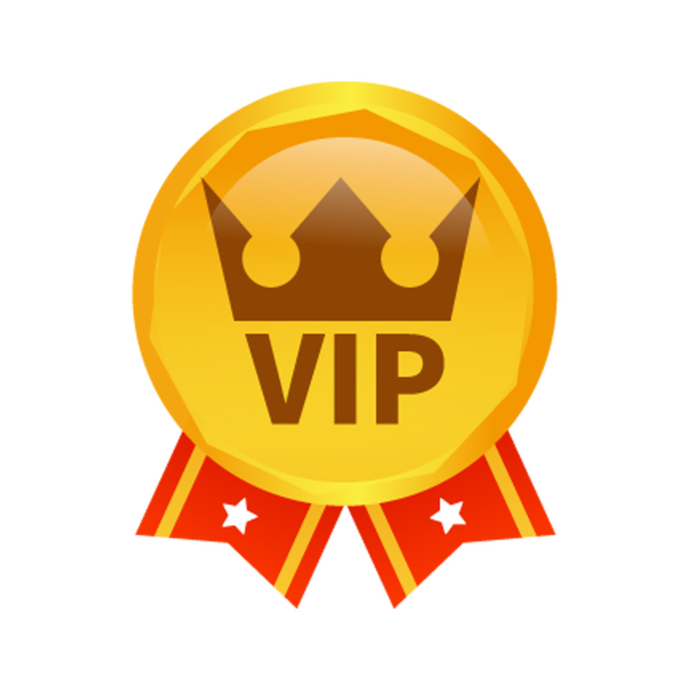 HJ-XX-04 VIP Payment Gateway Complete Purchases, Pay Differences & Priority Logistics THanks!