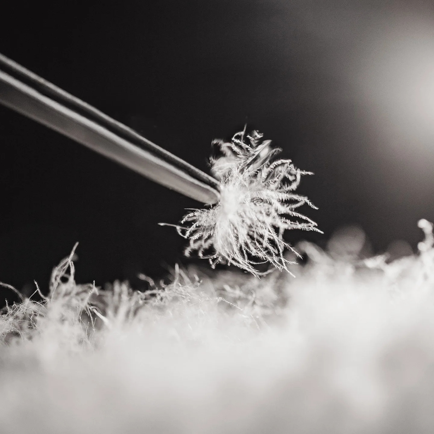 Maden Winter Mens Standup Collar Down Jacket Lightweight Hydrophobic White Duck Filling Coat Warm Inner Layer for Fall 251216