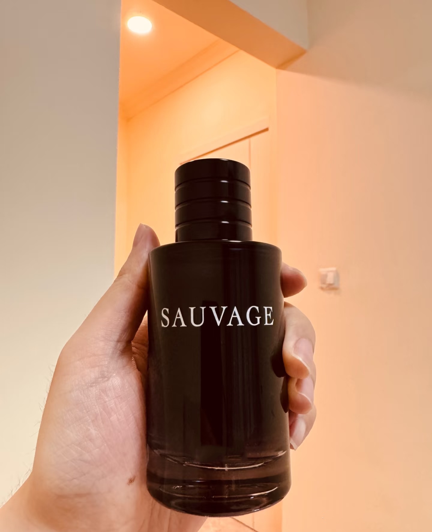 Designer Men perfume Fragrance 100ml Eau De Parfum EDP EDT Eau Forte Savage Long Lasting Fragrance Male Cologne Spray 3.3oz Highest Version Fast Ship High quality