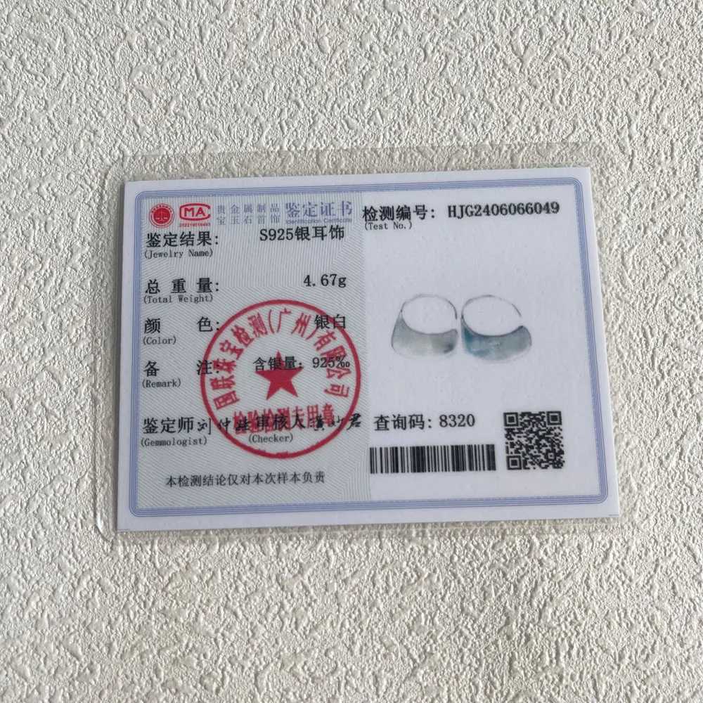 925 Sterling Silver Vintage Big Earrings For Women Trendy Earring Jewelry Prevent Allergy Party Accessories Gift G251216