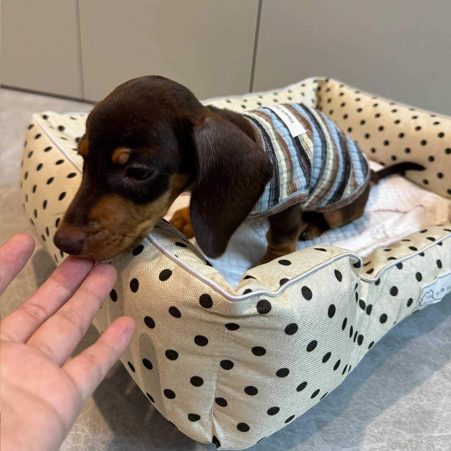 Removable Washable Pet Bed - Polka Dot All Season Mat for Small Medium Dogs Cats Plush Cushion for Dachshund Puppy M251217