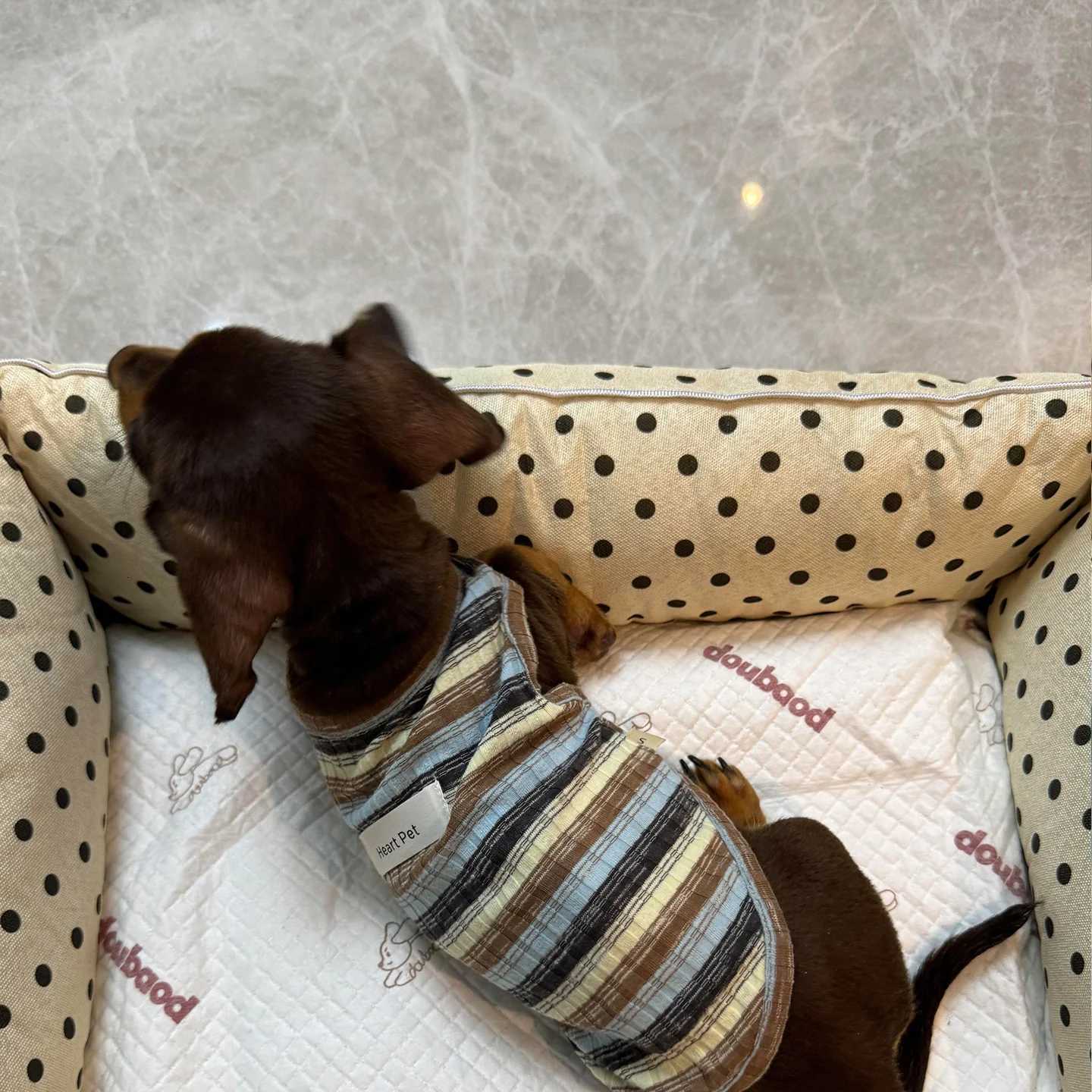 Removable Washable Pet Bed - Polka Dot All Season Mat for Small Medium Dogs Cats Plush Cushion for Dachshund Puppy M251217