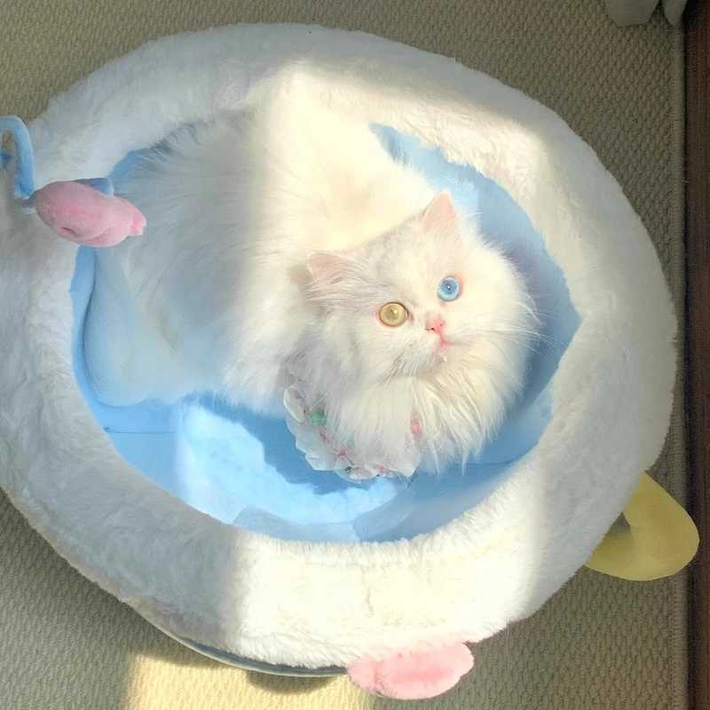 Cat Nest Limited Edition Plush Teacup Cute Pet Nest Zeze Collaboration Cat Nest All-Season Cat Villa M251217