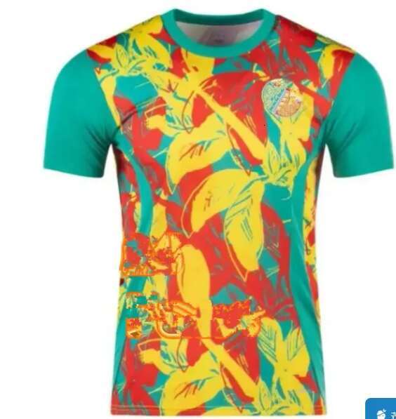 Senegal Africa Cup soccer jerseys 2026 27 MANE NJACKSON KOULIBALY SARR NDIAYE NIAKHATE football shirts kids 2025 national team fans Player Kids kit S-