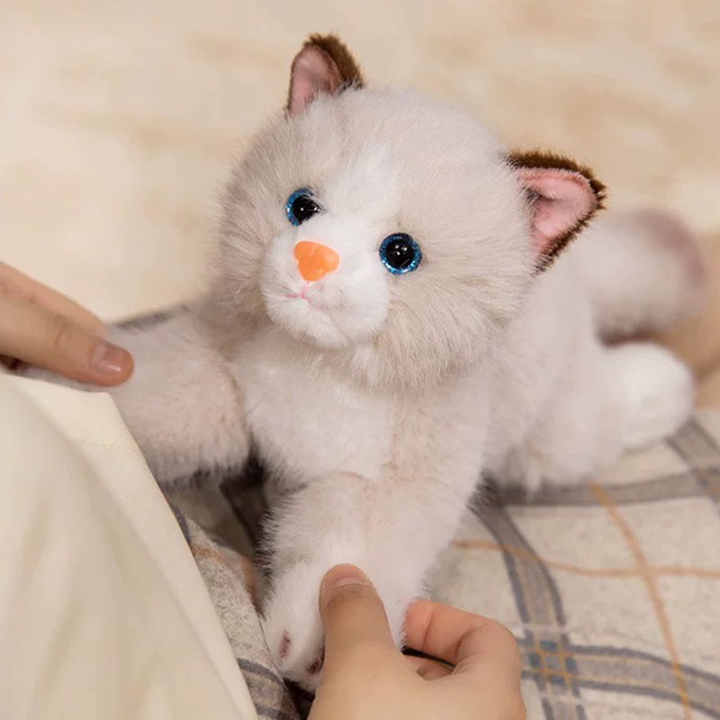 Wholesale prone cat dolls, three flower cat plush toys, children's companion dolls