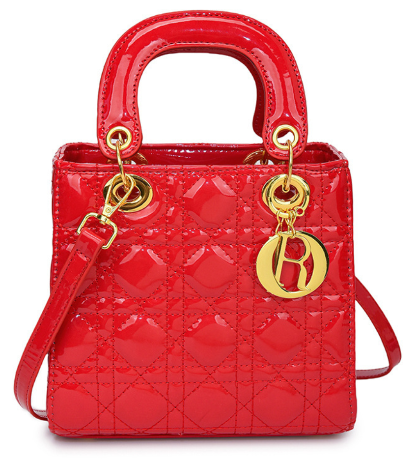 lady d-joy bag, luxurious tote with gold accents multi-color trendy designer bag, perfect for any occasion. Contact us for more styles!