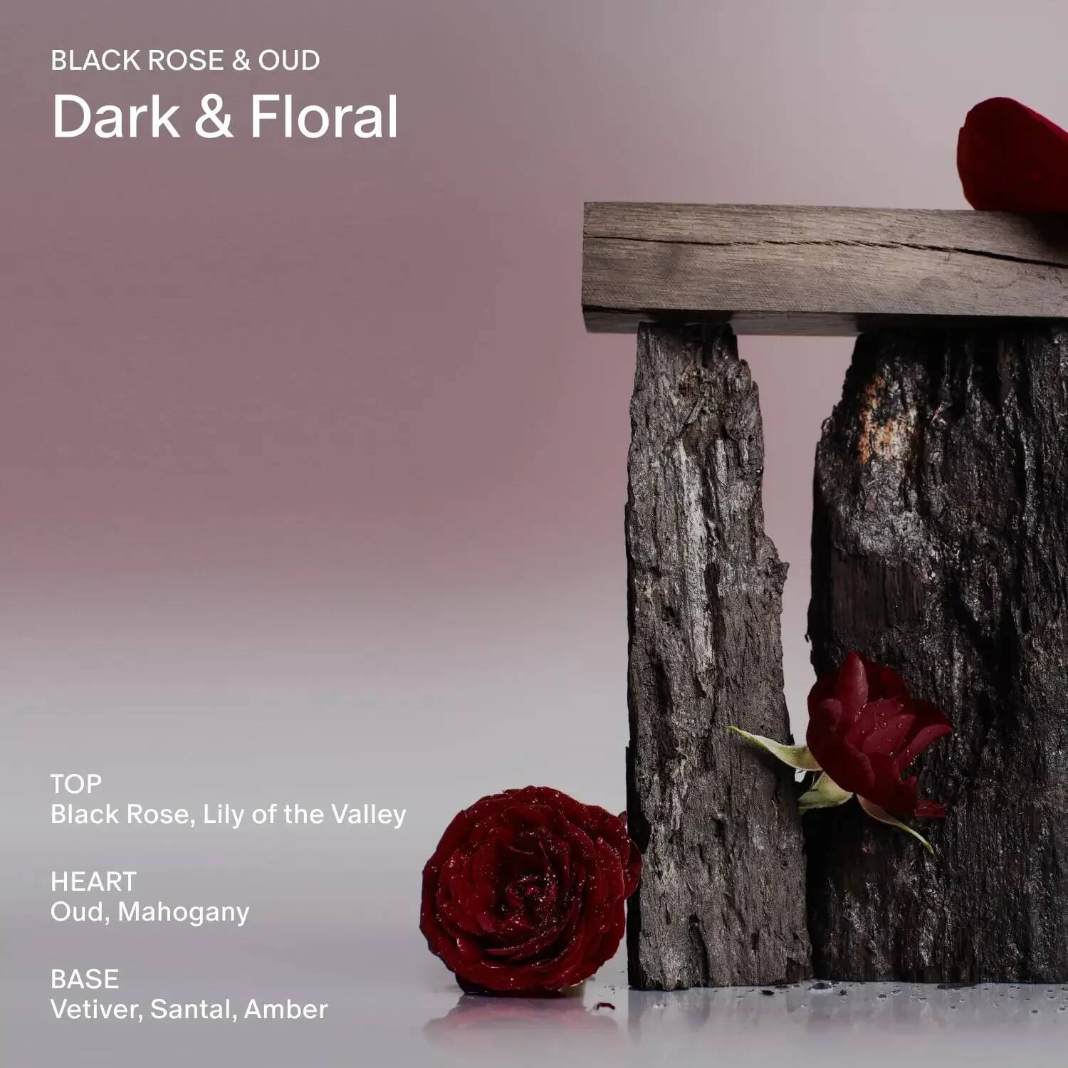 ddmyHappy Salt&Stone Body Mist, Saffron&Cedar Scene perfume, cologne, suitable for any occasion, 3.4oz lasting fragrance, gift Perfume