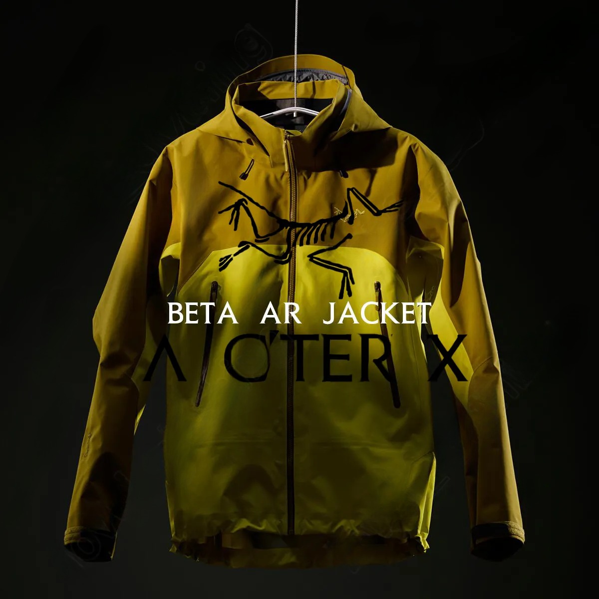 ARCS Jacket Designer BETA Lt Jacket Goretex Jacket Bone Bird Printed Logo Gore Texpro Hooded Waterproof Windbreaker Breathable gama mx Coats For Outdoor Hiking