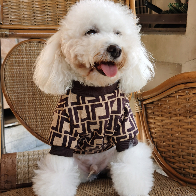 Designer pet dog sweater Large dogs dog clothes Autumn and winter fashion brand warmer than bear corgi giant expensive teddy Golden hair Samoyed