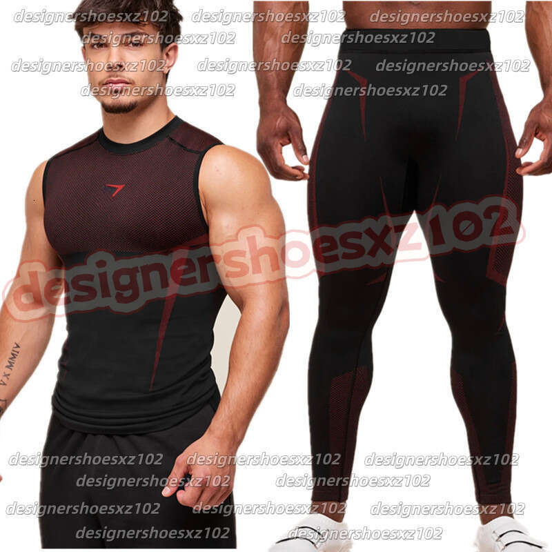 Gyms Shark Sports T… - image