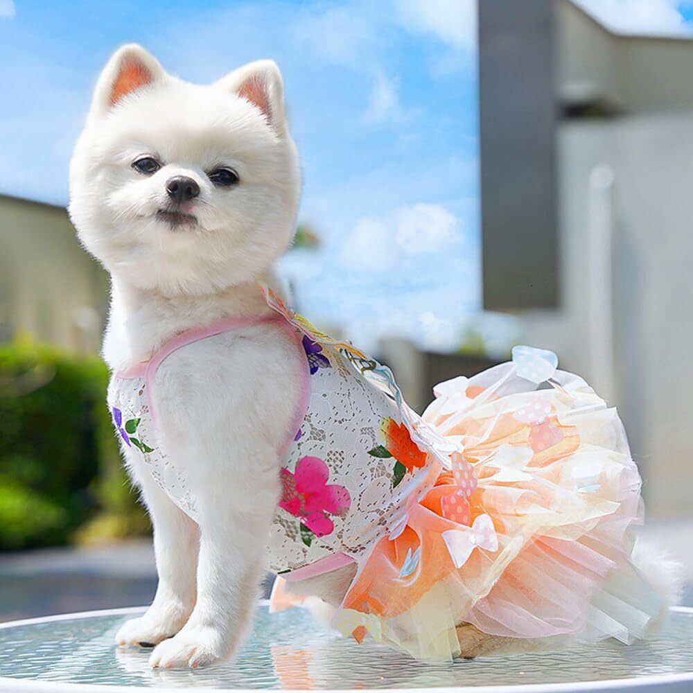 2026 New Dog Princess Dress,Summer Thin Cat Rainbow Butterfly Pettiskirt Cute Clothes Chihuahua Teddy Dress Pet Supplies S Free Shipping H260129