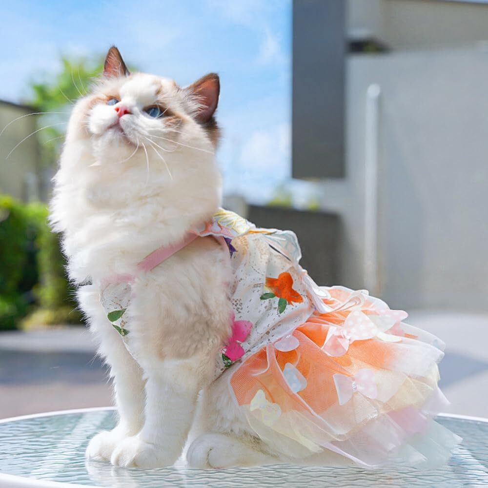 2026 New Dog Princess Dress,Summer Thin Cat Rainbow Butterfly Pettiskirt Cute Clothes Chihuahua Teddy Dress Pet Supplies S Free Shipping H260129