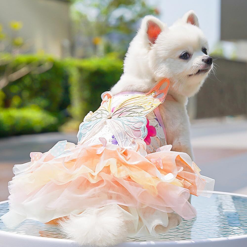 2026 New Dog Princess Dress,Summer Thin Cat Rainbow Butterfly Pettiskirt Cute Clothes Chihuahua Teddy Dress Pet Supplies S Free Shipping H260129