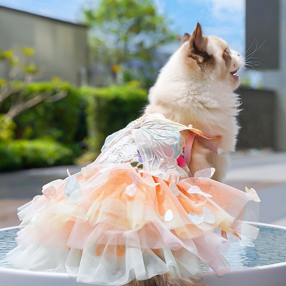 2026 New Dog Princess Dress,Summer Thin Cat Rainbow Butterfly Pettiskirt Cute Clothes Chihuahua Teddy Dress Pet Supplies S Free Shipping H260129