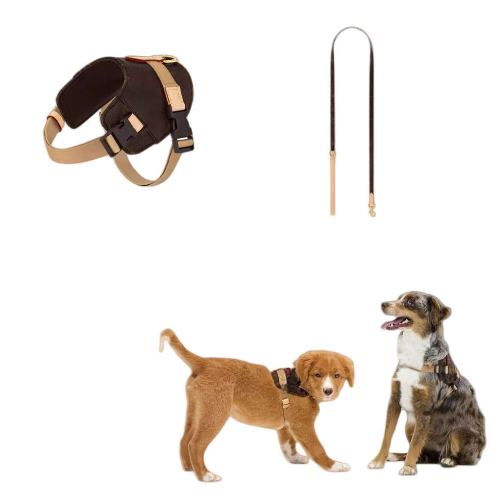 Light Luxury Cat Dog Harness Leash Poop Bag Trendy Brand Collar Vest Style Fashionable Pet Supplies