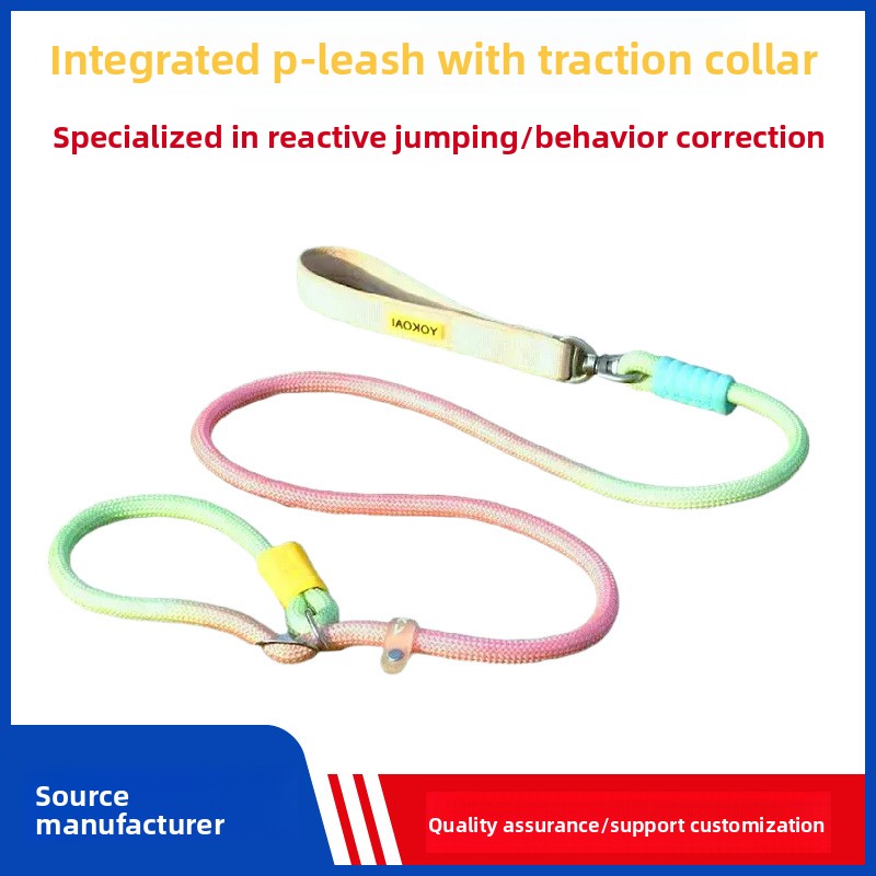 Durable Anti Pull P Rope Dog Leash No Tangle Pet Lead for Medium Large Dogs Training Leash