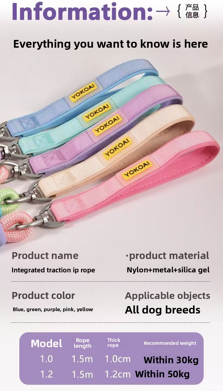 Durable Anti Pull P Rope Dog Leash No Tangle Pet Lead for Medium Large Dogs Training Leash