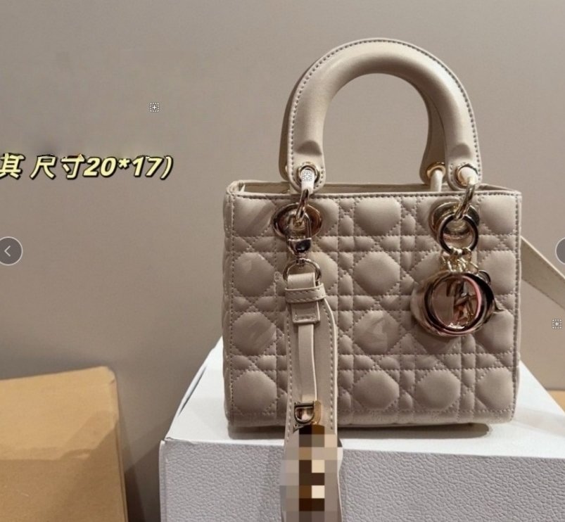 Princess Diana Bag 2025 Winter New Crossbody Bag Designer Fashion Stylish women Bag Women's Crossbody ShoulderBag