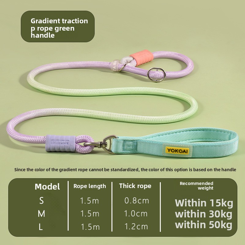 Durable Anti Pull P Rope Dog Leash No Tangle Pet Lead for Medium Large Dogs Training Leash