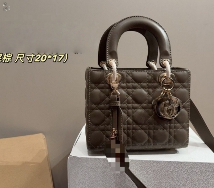 Princess Diana Bag 2026 Winter New Crossbody Bag Designer Fashion Stylish women Bag Women's Crossbody ShoulderBag