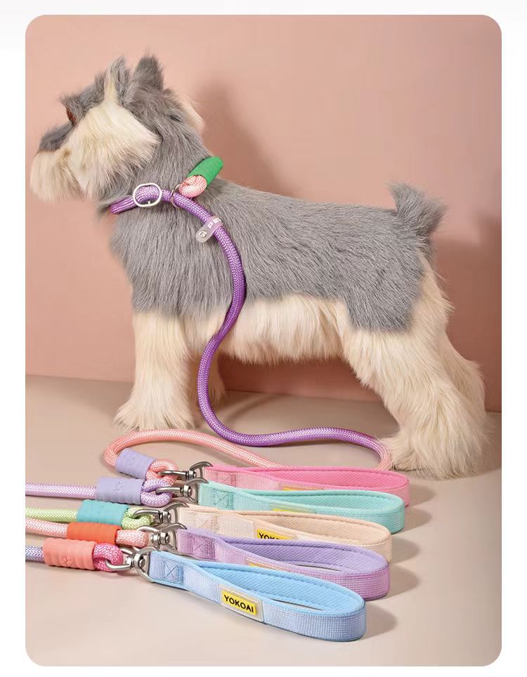 Durable Anti Pull P Rope Dog Leash No Tangle Pet Lead for Medium Large Dogs Training Leash