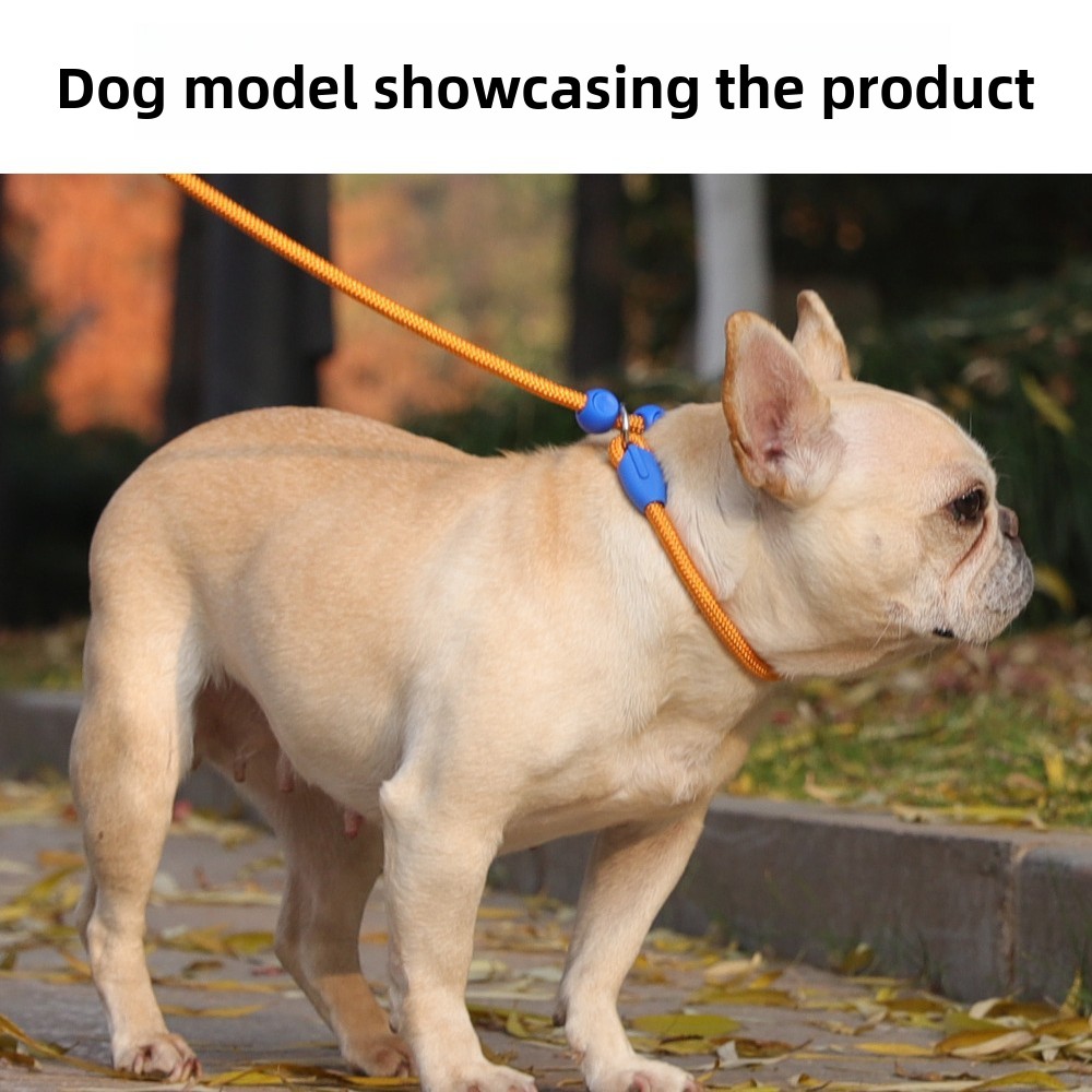 Heavy Duty No Pull Dog Leash Escape Proof Pet Chain for Small Medium Dogs Adjustable P Chain Reflective Leash