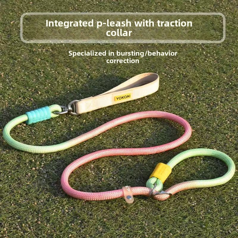 Durable Anti Pull P Rope Dog Leash No Tangle Pet Lead for Medium Large Dogs Training Leash