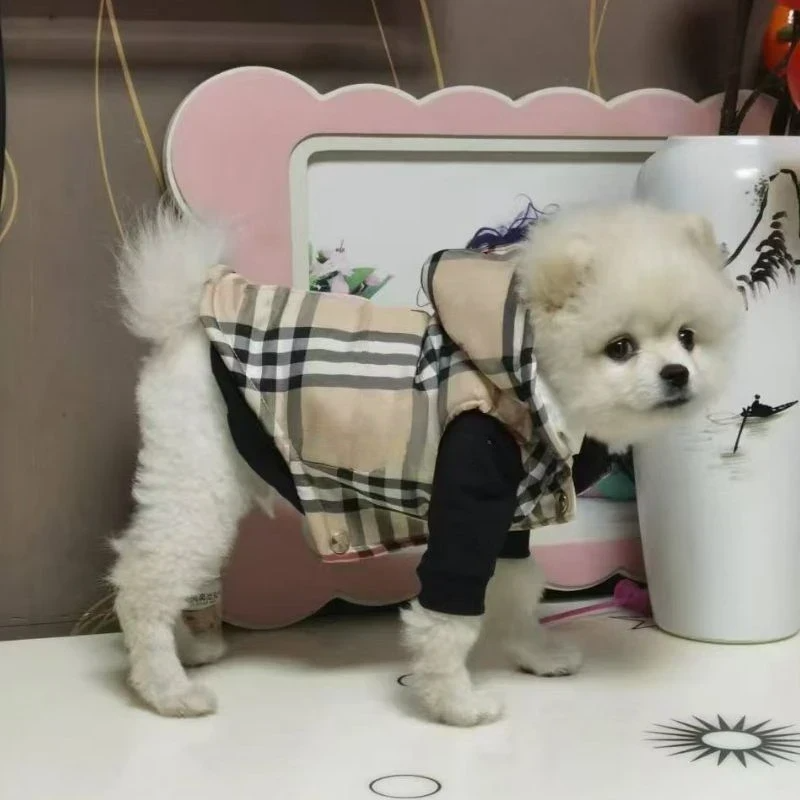 Classic Plaid Designer Dog Apparel Soft Warm Pet Hoodie Luxury Puppy Winter Coat Cold Weather Windproof Dog Snow Jacket for Small Medium Dogs