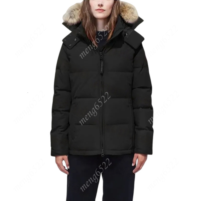 Down Jacket Woman C… - image