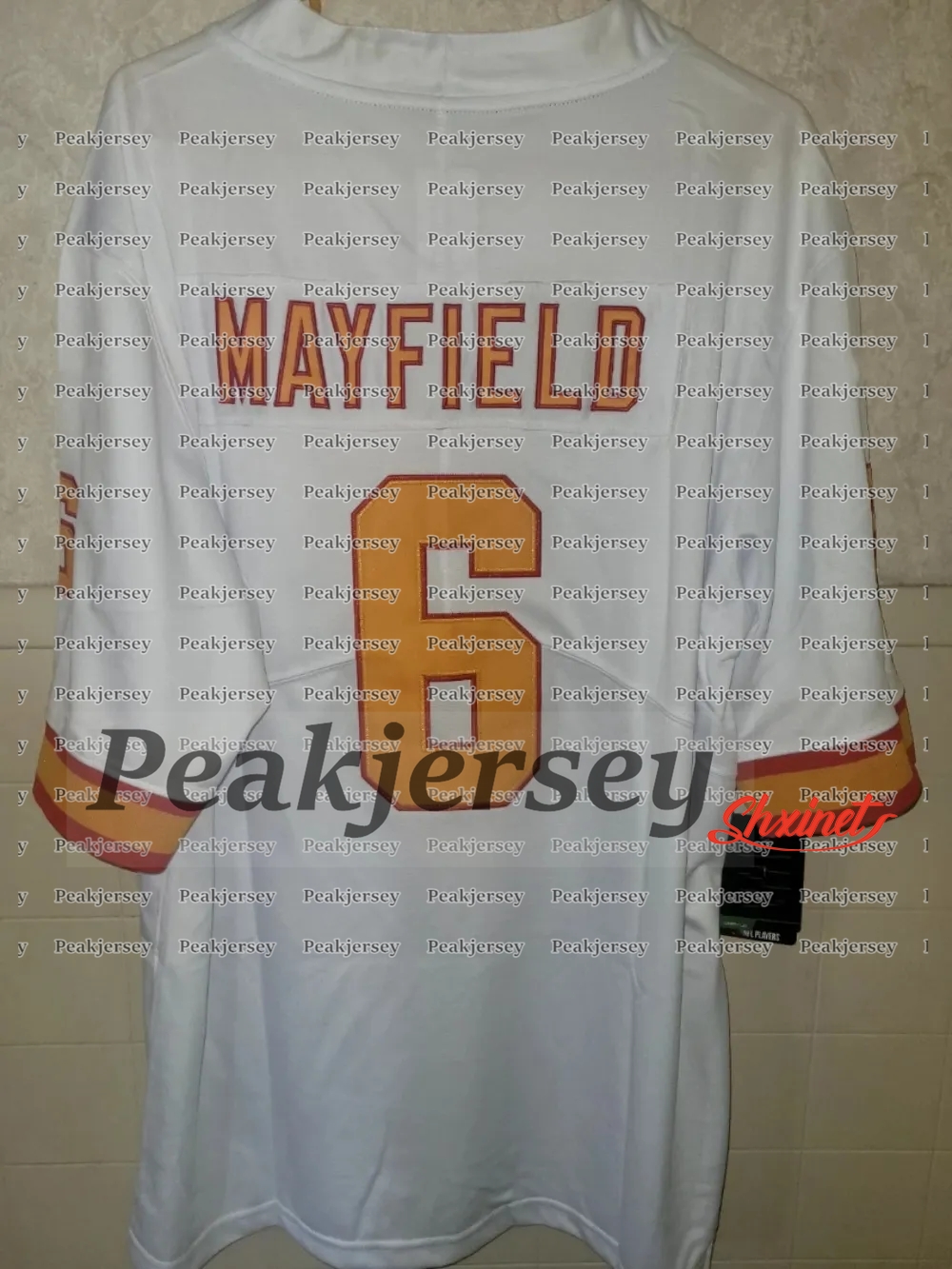 Baker 6 Mayfield Tom 12 Brady 2025 Salute to service Football Jerseys Mike Evans Emeka 2 Egbuka Bucky Irvin Chris Godwin Jr. Vita Vea Mens