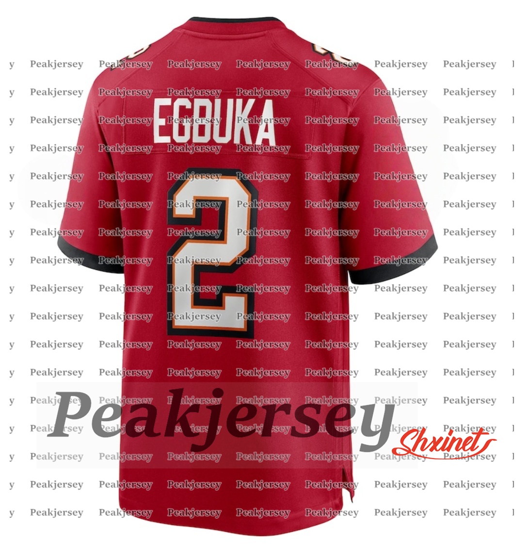 Baker 6 Mayfield Tom 12 Brady 2025 Salute to service Football Jerseys Mike Evans Emeka 2 Egbuka Bucky Irvin Chris Godwin Jr. Vita Vea Mens