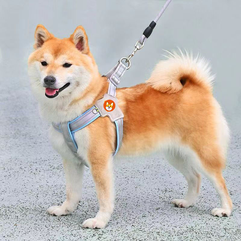 New dog leash vest pet chest strap walking dog leash small and medium corgi bear teddy leash