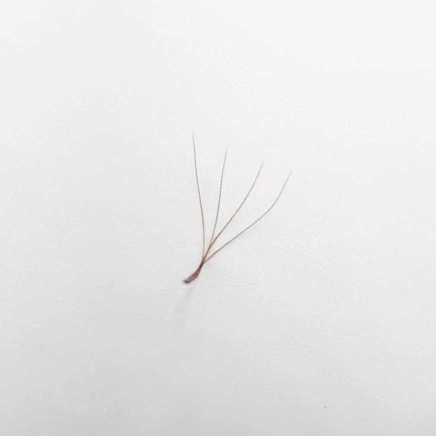 Supmacio Brown 3D/4D/5D W Lashes Bloom Automatic Flowering Soft Premade Fans Natural Soft Individual EyelashesT251223
