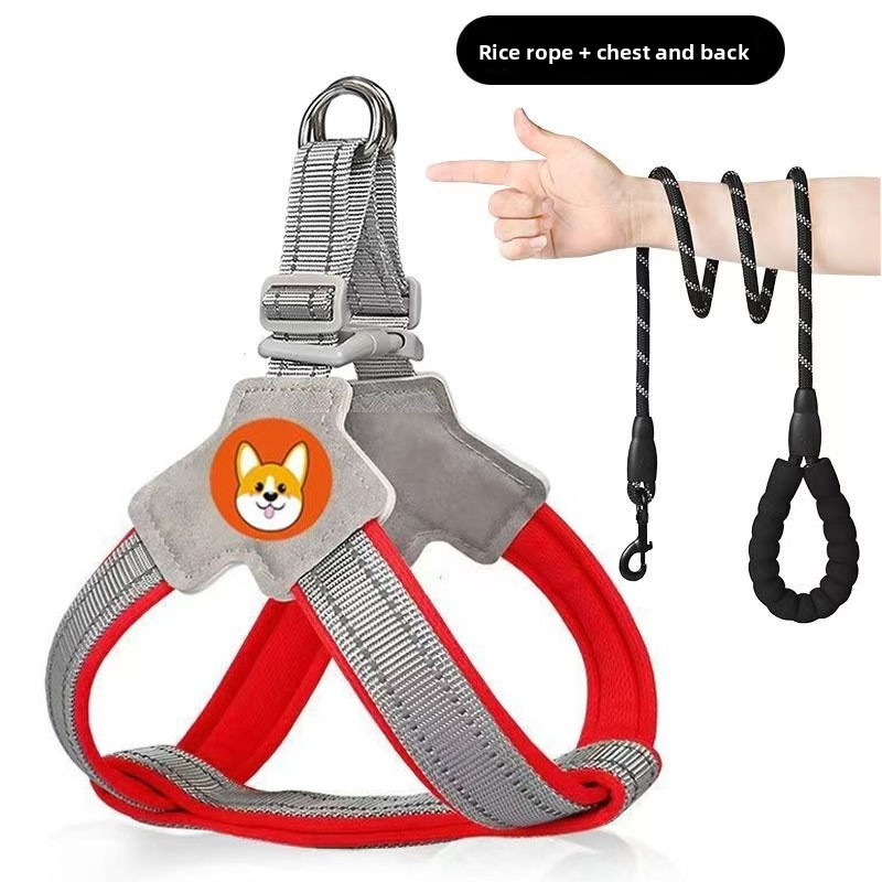 New dog leash vest pet chest strap walking dog leash small and medium corgi bear teddy leash