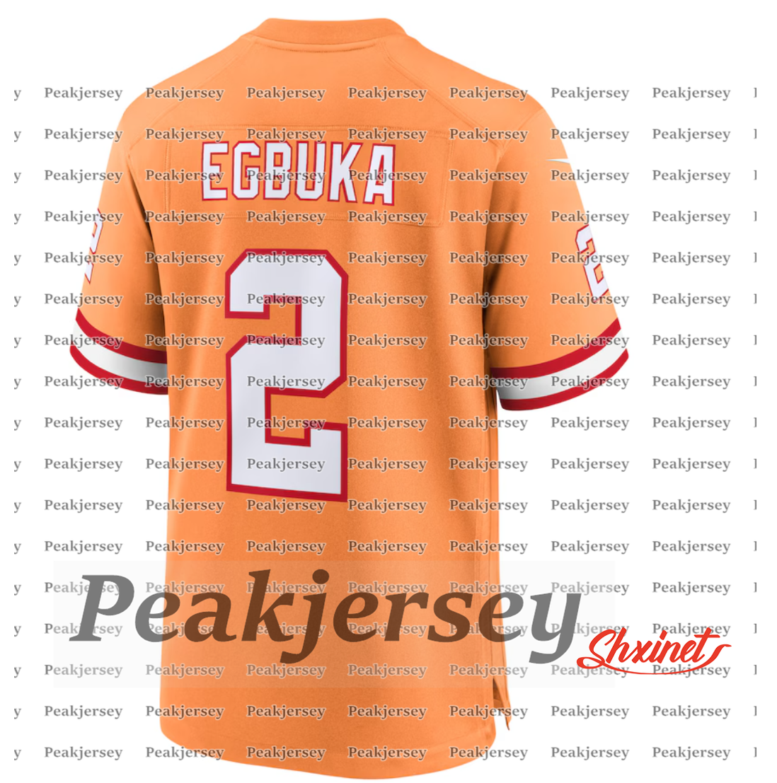 Baker 6 Mayfield Tom 12 Brady 2025 Salute to service Football Jerseys Mike Evans Emeka 2 Egbuka Bucky Irvin Chris Godwin Jr. Vita Vea Mens